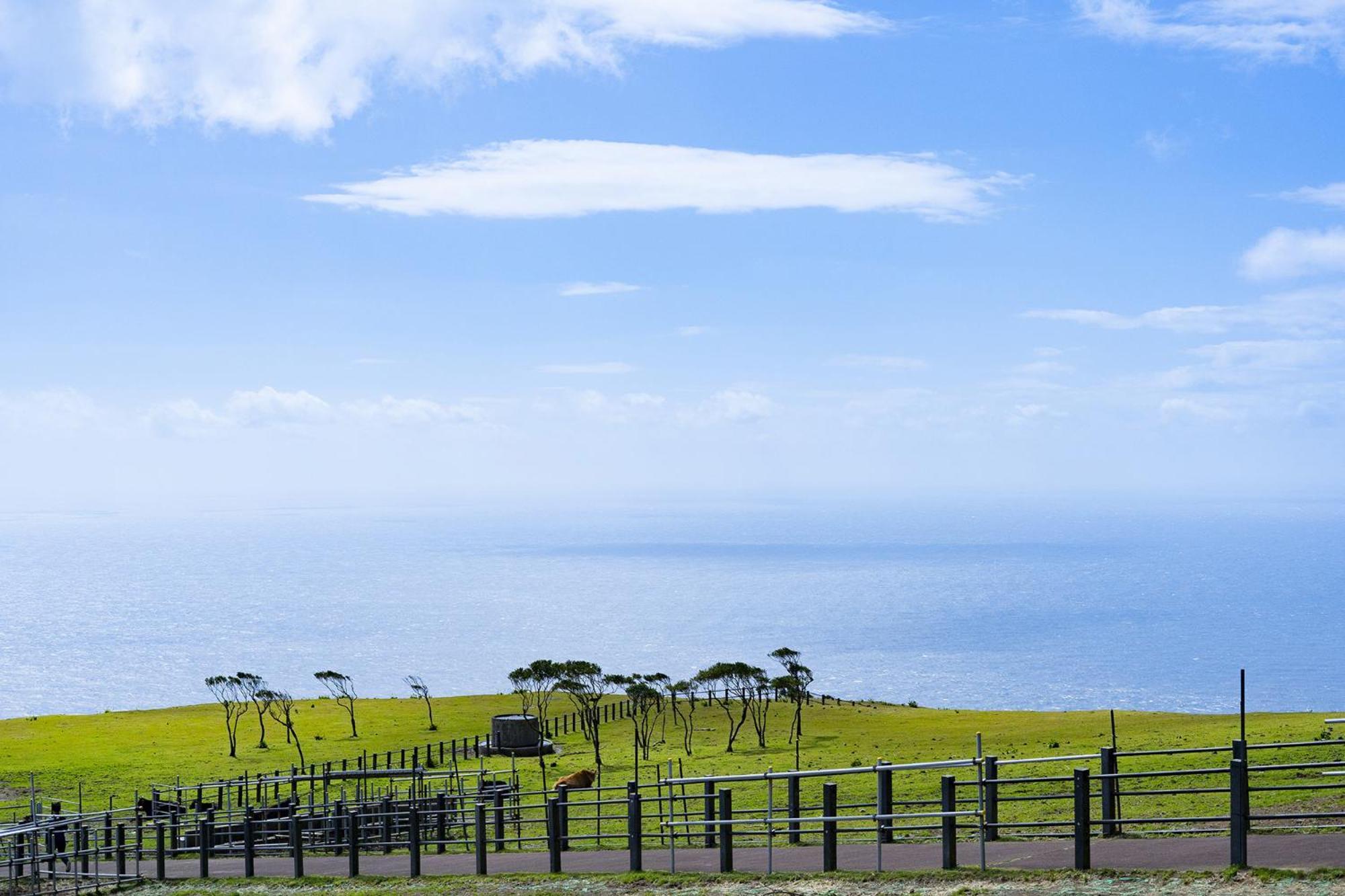 Hachijyo-Island Blue Eight -八丈島ブルーエイト- Villa Mitsune Luaran gambar